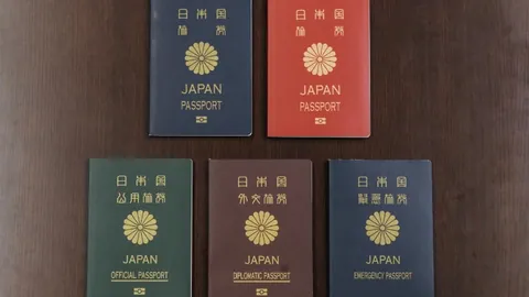 朱俊龙关键三分，队长带领团队默契协作，终结关岛队胜利希望